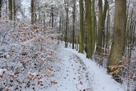 Wyprawy rowerowe